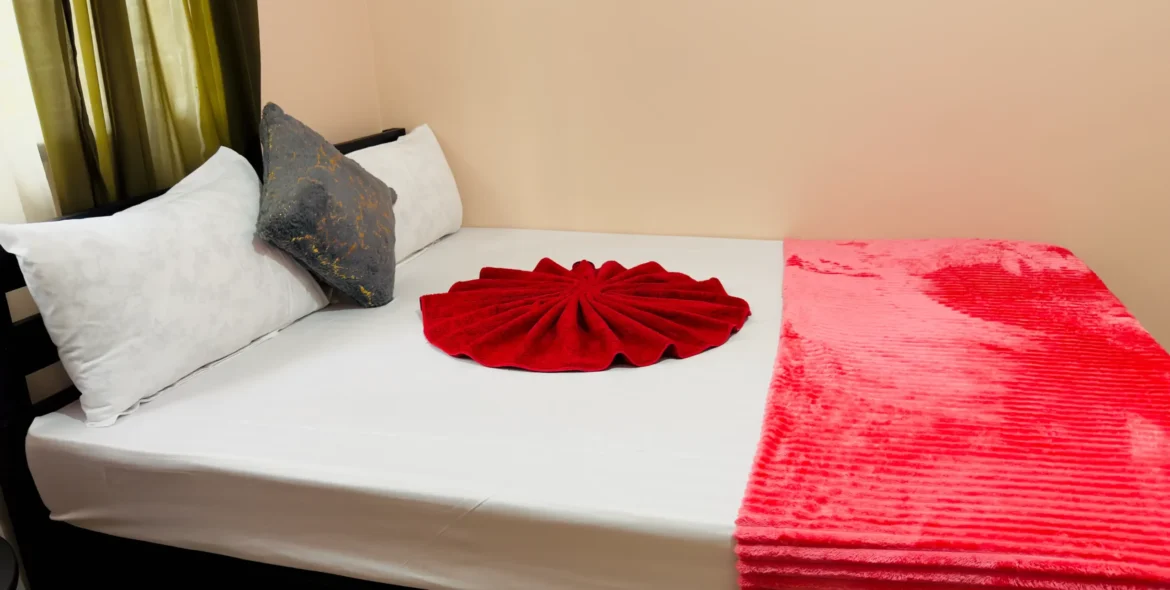 Deluxe King Nestova Hostel