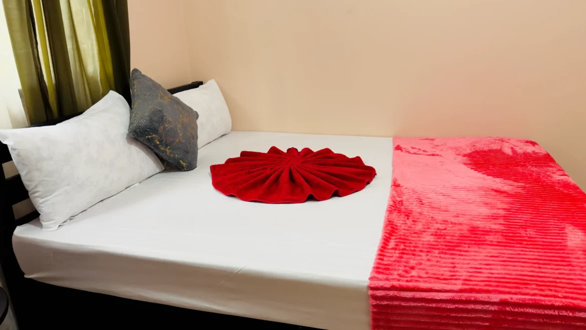 Deluxe King Nestova Hostel