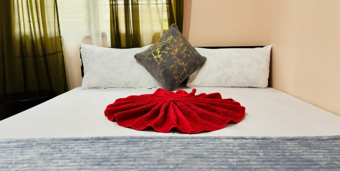 Deluxe King Room Nestova Hostel