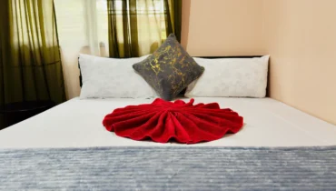 Deluxe King Room Nestova Hostel