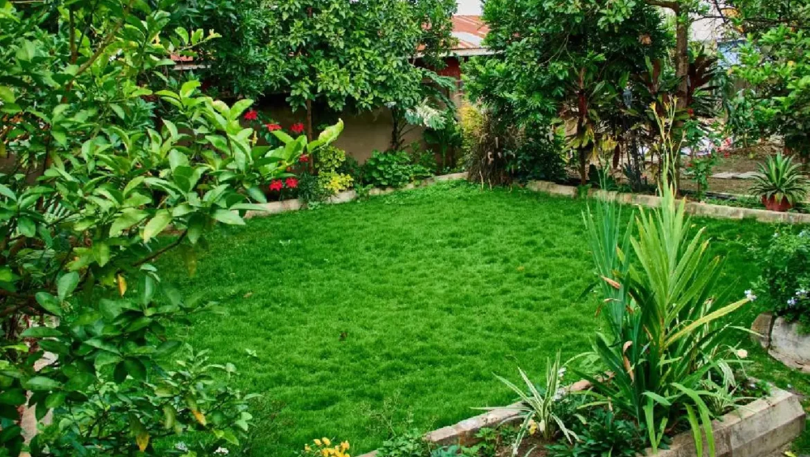 garden area garden area