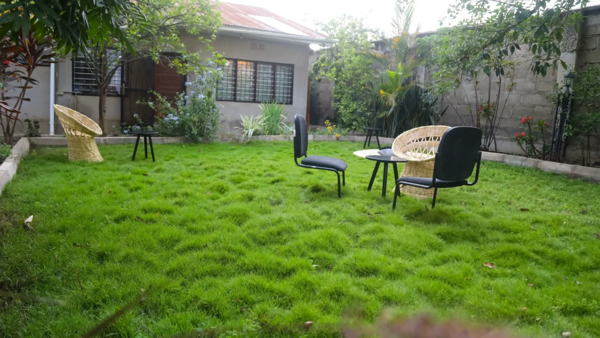 Garden with chair